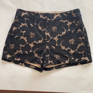 Cute Dressy Express Shorts